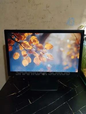 Hp 18.5 Inch Led