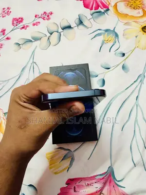 Apple iPhone 12 Pro Max 512 GB Blue