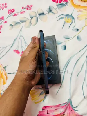 Apple iPhone 12 Pro Max 512 GB Blue