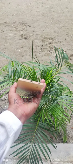 Xiaomi Redmi Note 12 128 GB White