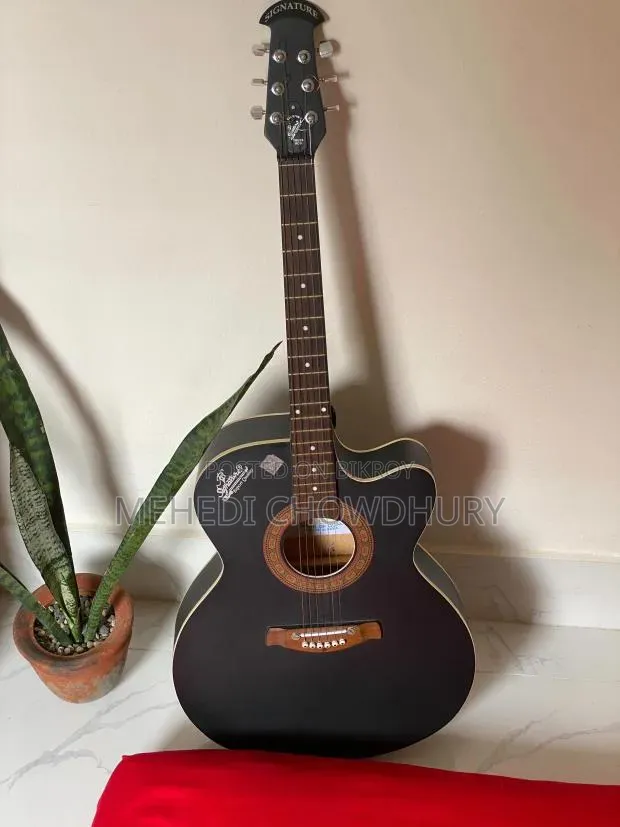 সিগনেচার গিটার