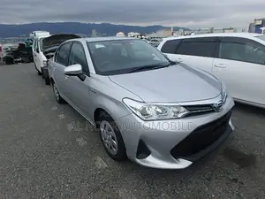 Toyota Axio 2021 Silver