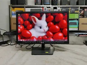Lg 19en33s 19" Hd Led Monitor With Wall Mount