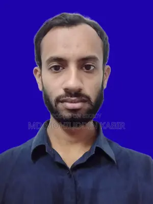 ক্যাপচা এন্ট্রি জব, বাসা থেকে কাজ
