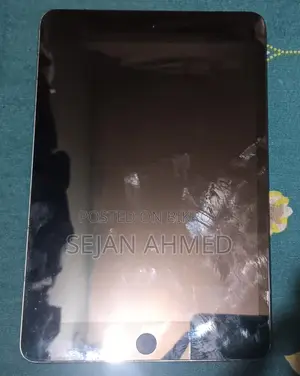Apple iPad mini 5 64 GB Gray