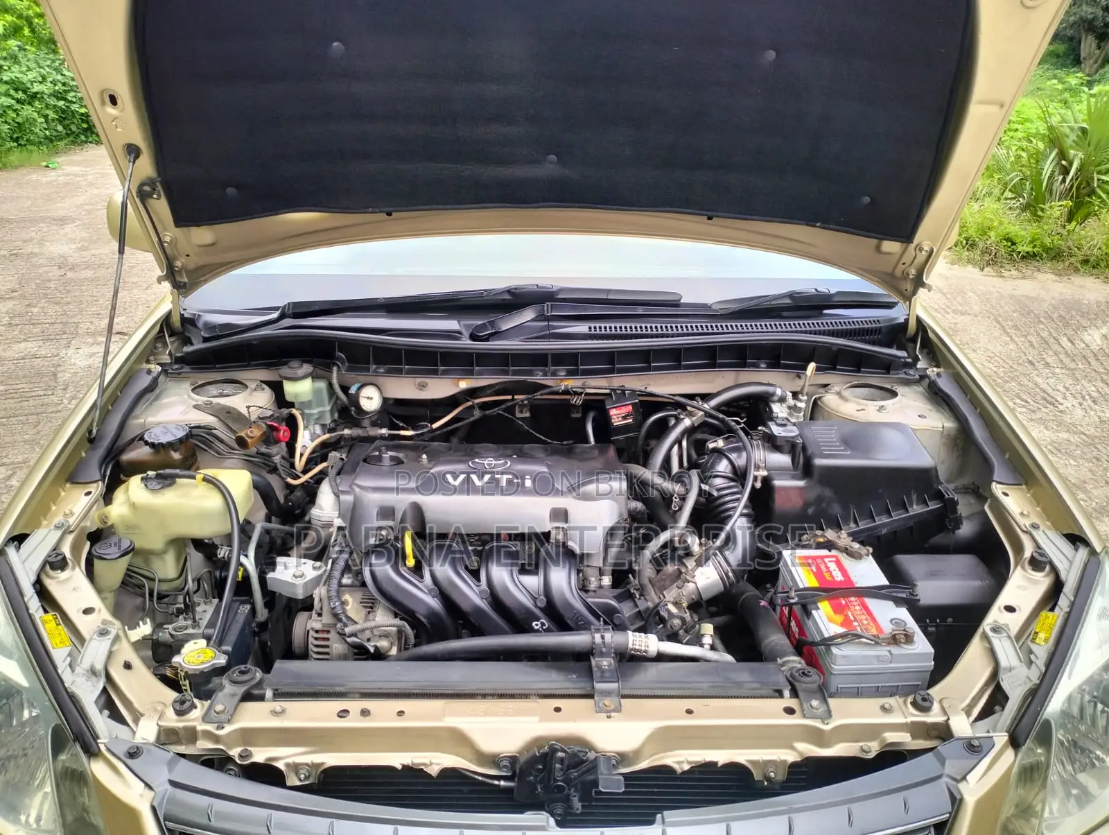 Toyota Premio 2003 Gold