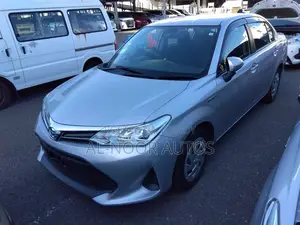 Toyota Axio 2021 Silver