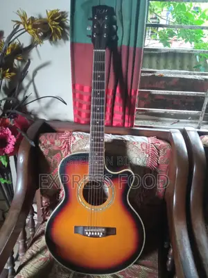 টিজিএম অ্যাকোস্টিক গিটার