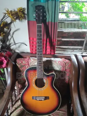 টিজিএম অ্যাকোস্টিক গিটার