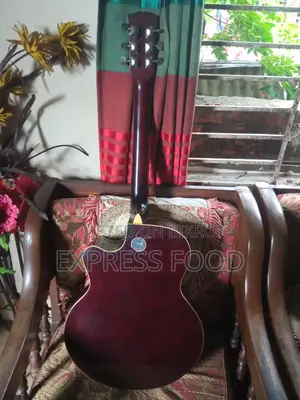 টিজিএম অ্যাকোস্টিক গিটার