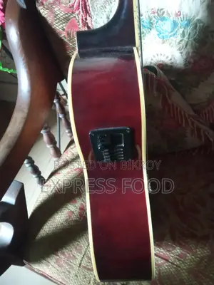 টিজিএম অ্যাকোস্টিক গিটার