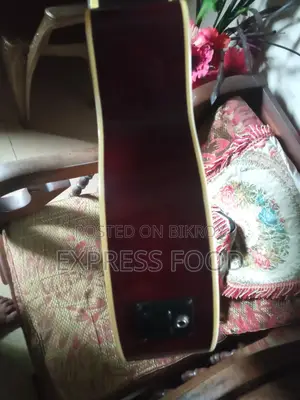 টিজিএম অ্যাকোস্টিক গিটার