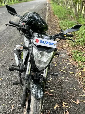 সুজুকি জিক্সার মনোটোন ২০২৬ ধূসর