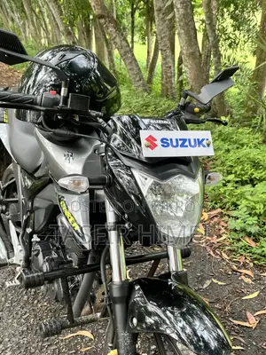 Suzuki Gixxer Monotone 2026 Gray