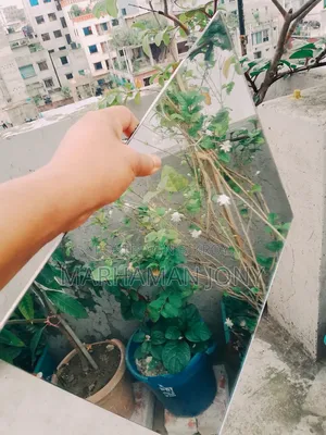 Basin Mirror