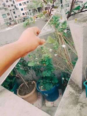 Basin Mirror