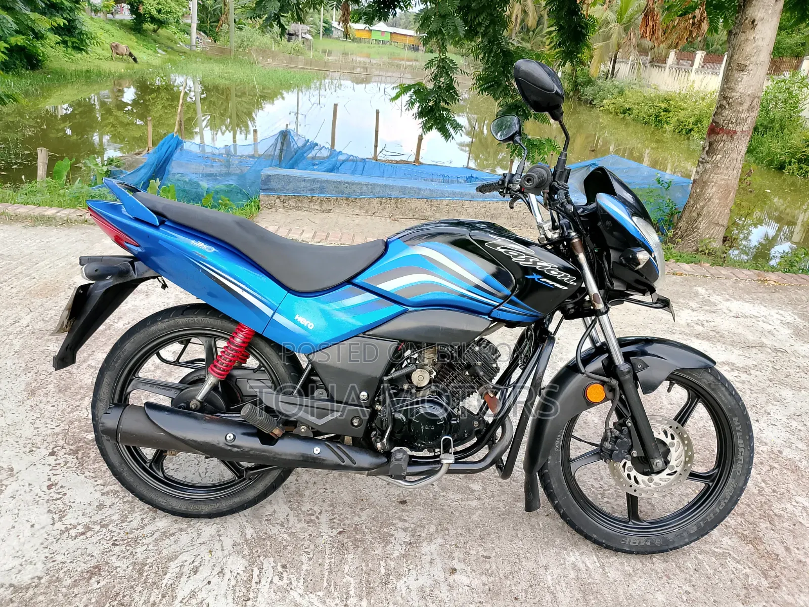 Hero Passion Pro 2022 Blue