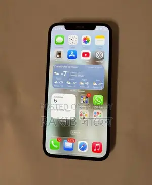 Apple iPhone 12 256 GB Blue