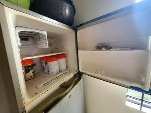 Samsung Freez
