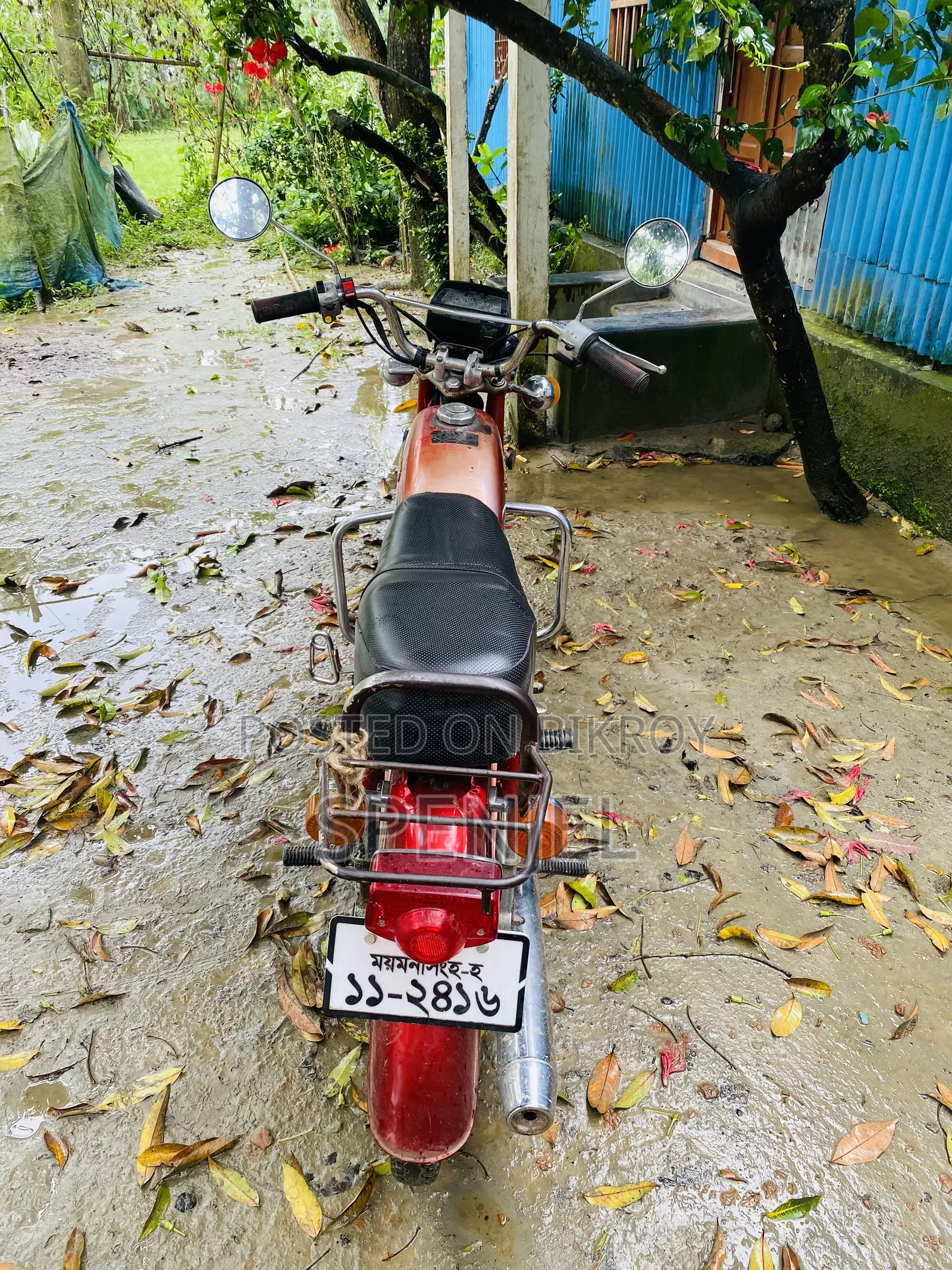 Honda 2003 Red