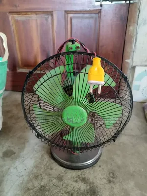 ইলেক্টিক ফ্যান