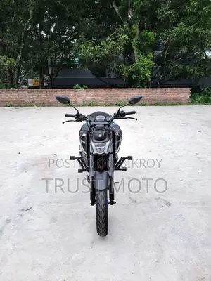 Yamaha FZ 2025 Gray