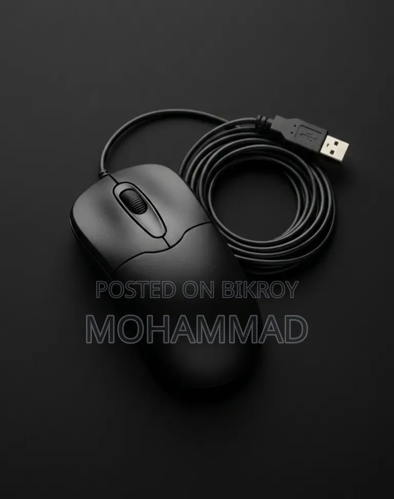 Laptop Mouse