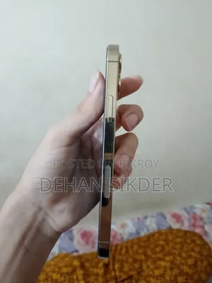 অ্যাপল আইফোন ১২ প্রো ২৫৬ জিবি গোল্ড