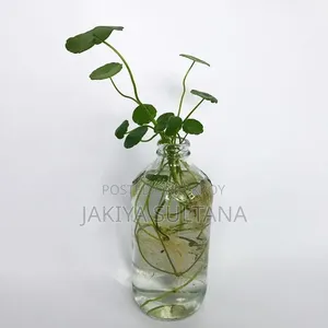 Decorative Glass Bottle