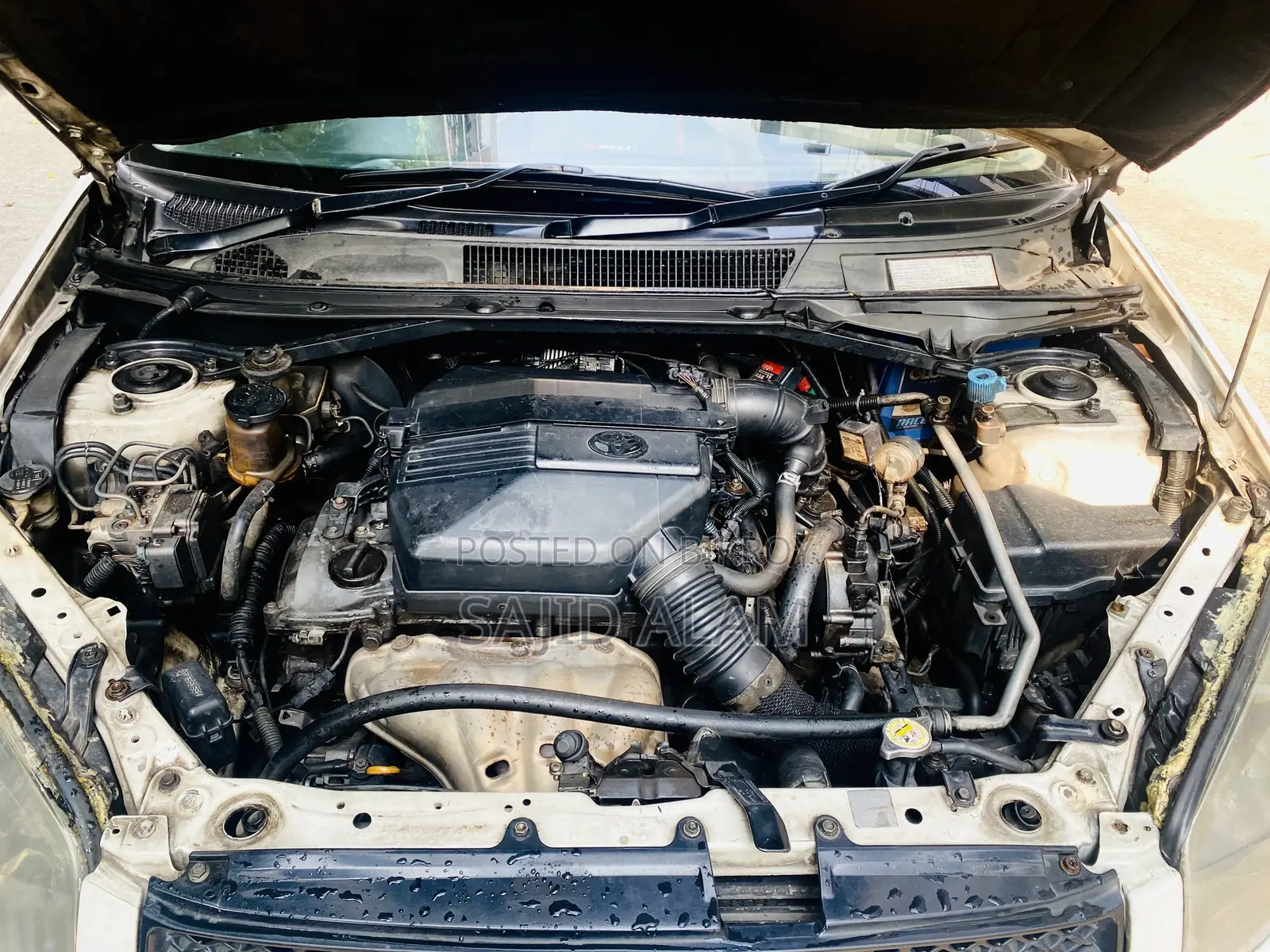 Toyota RAV4 2005 Pearl