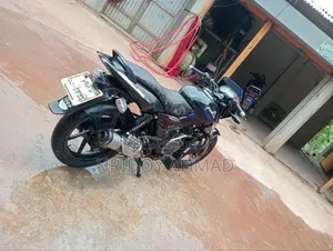 বাজাজ পালসার ১৫০ ২০০৯ নীল