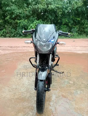 বাজাজ পালসার ১৫০ ২০০৯ নীল
