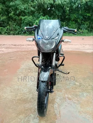 বাজাজ পালসার ১৫০ ২০০৯ নীল