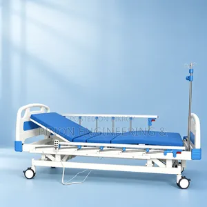 Three Functions Electric Hospital Bed
