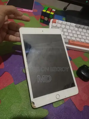 Apple iPad mini 4 16 GB Silver