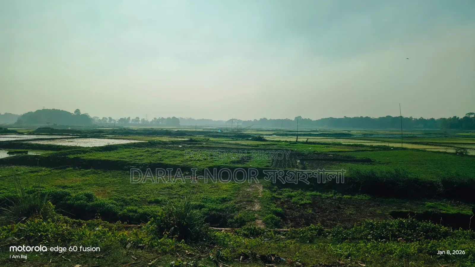 100 Bigha land for sale in Ward 41, Gazipur