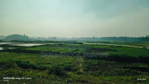 100 Bigha land for sale in Ward 41, Gazipur