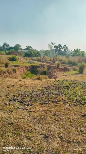 100 Bigha land for sale in Ward 41, Gazipur