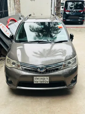 Toyota Axio 2013 Gray