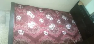 Full Fresh Bed Size: 4 feet X 7 feet