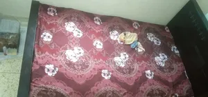 Full Fresh Bed Size: 4 feet X 7 feet