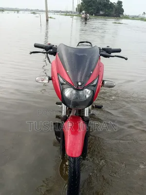 Bajaj Pulsar 150 2013 Red