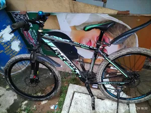 মডিফাইড সাইকেল