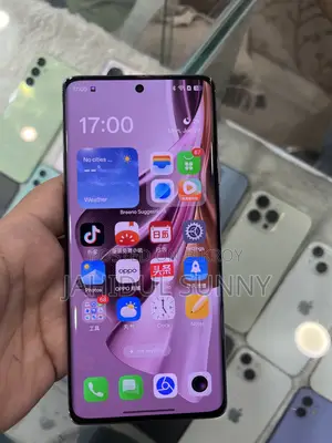 Oppo Reno10 Pro+ 256 GB