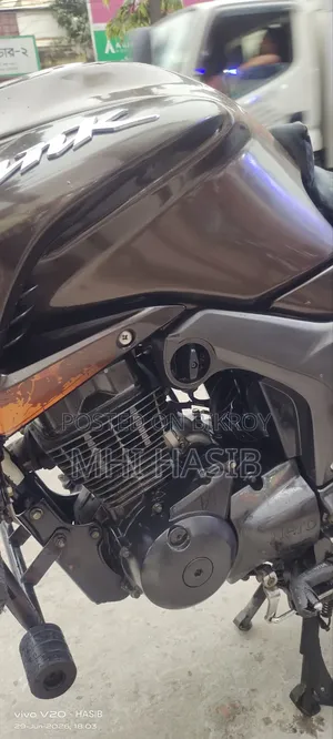 নতুন হিরো হাঙ্ক ২০১৯ ব্রাউন
