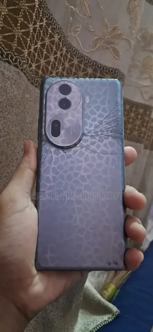 Oppo Reno 11 Pro 5G 256 GB Gray