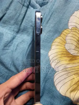 অ্যাপল আইফোন ১৩ প্রো ম্যাক্স ২৫৬ জিবি ব্লু