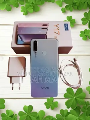 ভিভো ওয়াই১৭ ৬৪ জিবি