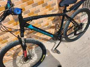Seventy One Warrior 2.0(Veloce)