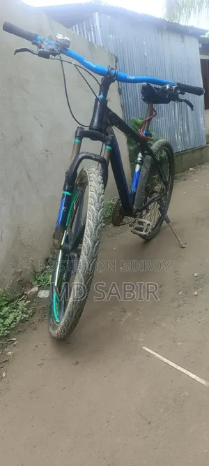 Bicycle 10